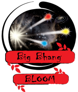 Zen-Products-Big-Bhang-Full-Logo-422h