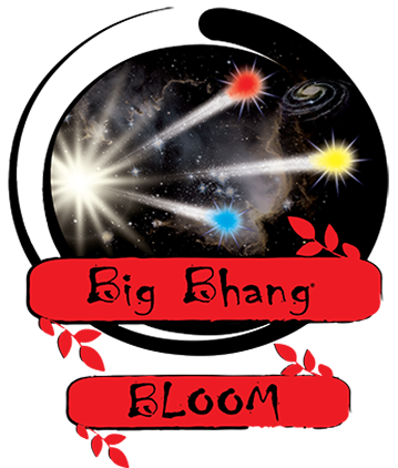 Zen-Products-Big-Bhang-Full-Logo-422h